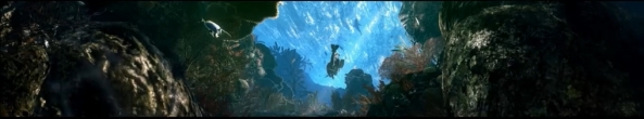 gorgeous underwater scene